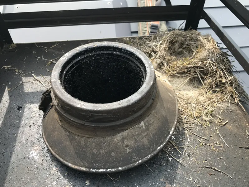 煙突トップ 鳥の巣