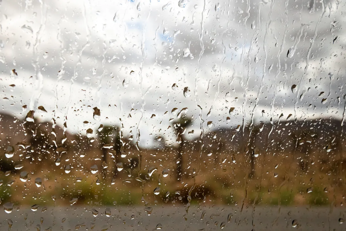 窓を打つ雨