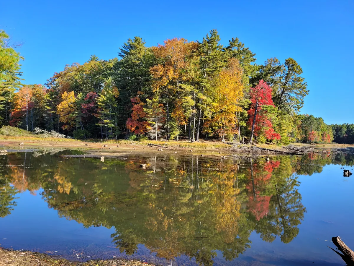 紅葉した木々が秋の湖面に映り込む。赤・黄・緑が水鏡に二重に広がる