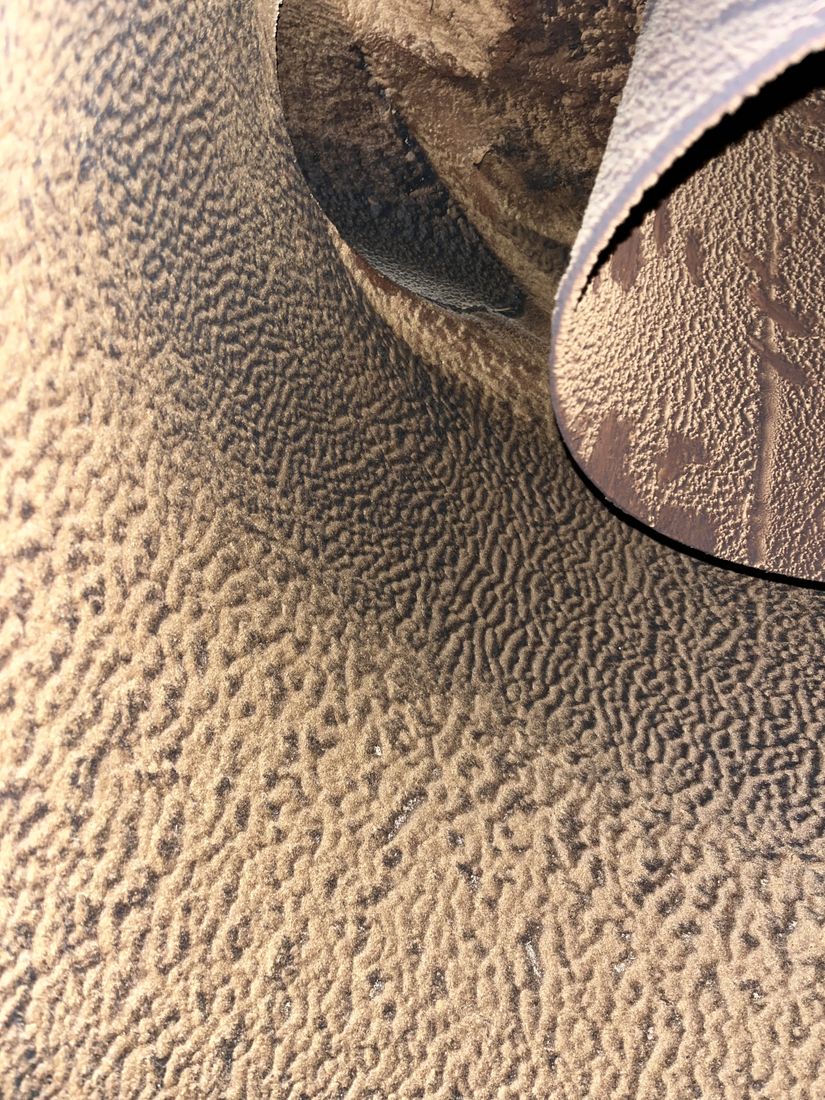煙道の付着物の点検