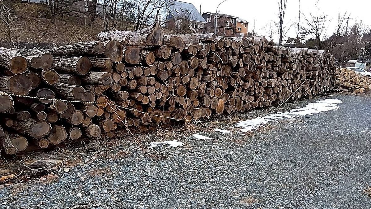 盛岡の薪土場に整然と積み上げられた薪の壁。かなりの量