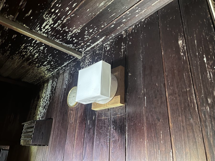 カビ様の白い斑点が一面に広がった、黒ずんだサウナ室の壁と天井