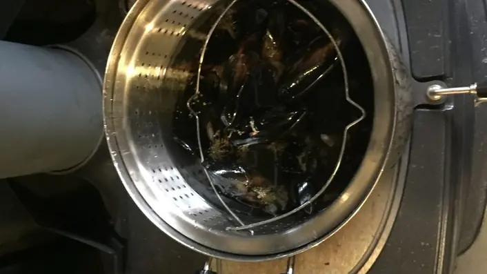 薪ストーブで蒸すムール貝