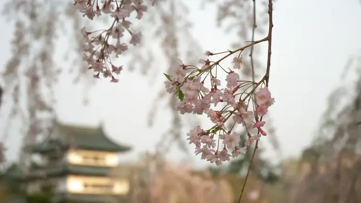 弘前城