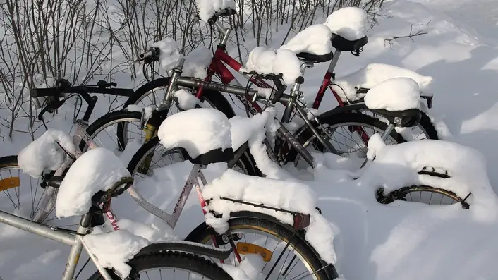 雪景色