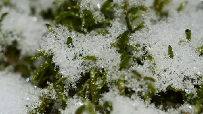 雪景色