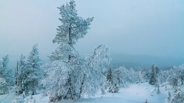 雪のフィンランドの町