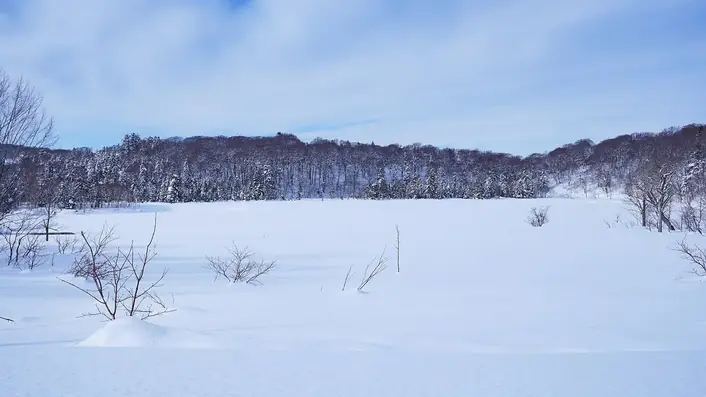 八幡平の樹氷
