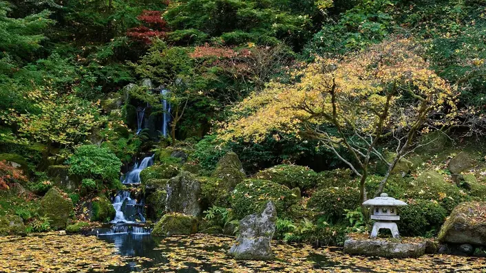 フィンランドの情景