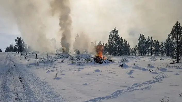 雪景色