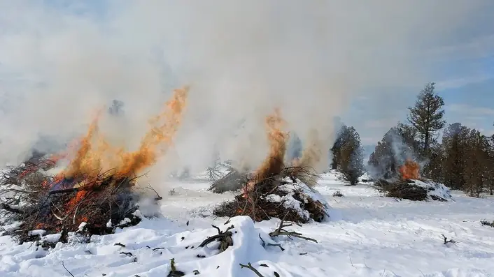 雪景色