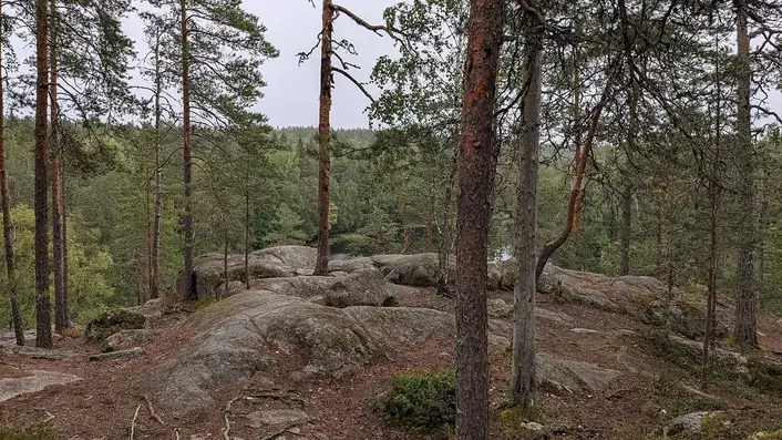フィンランドの情景
