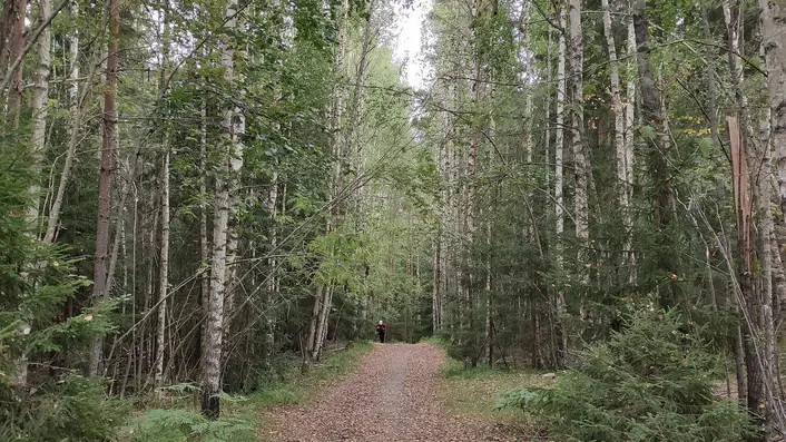 フィンランドの情景