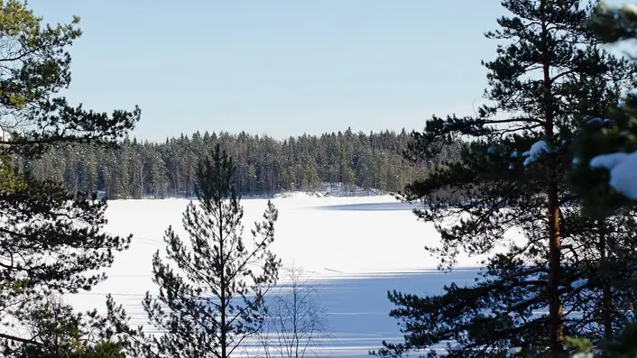 フィンランドの情景