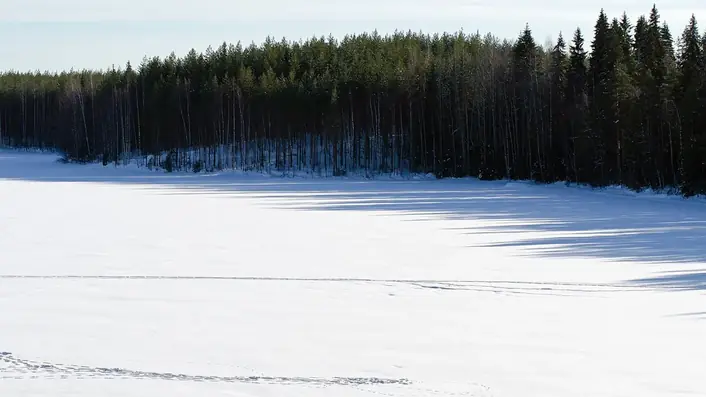 フィンランドの情景