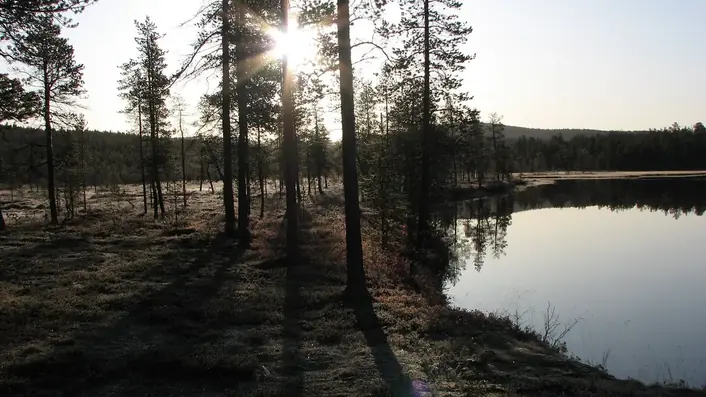 フィンランドの情景