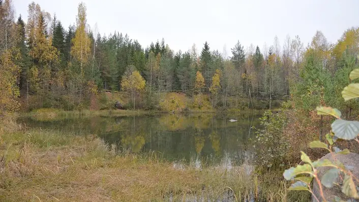 フィンランドの情景