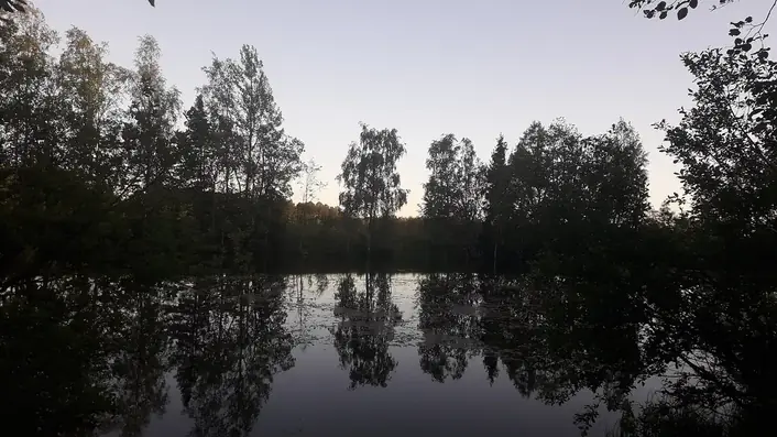 フィンランドの情景
