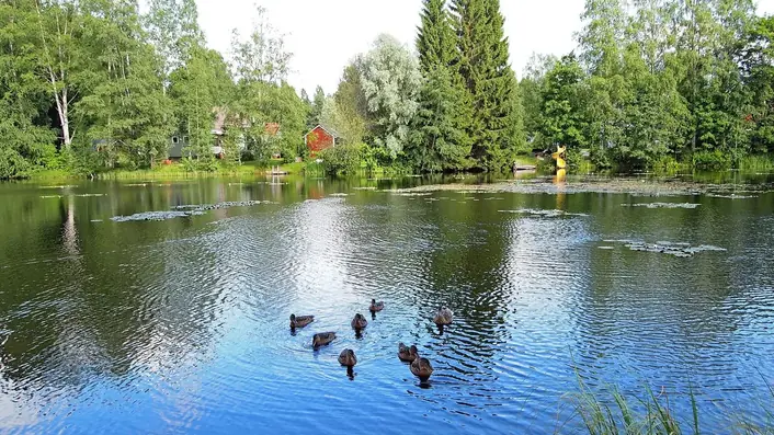 フィンランドの情景