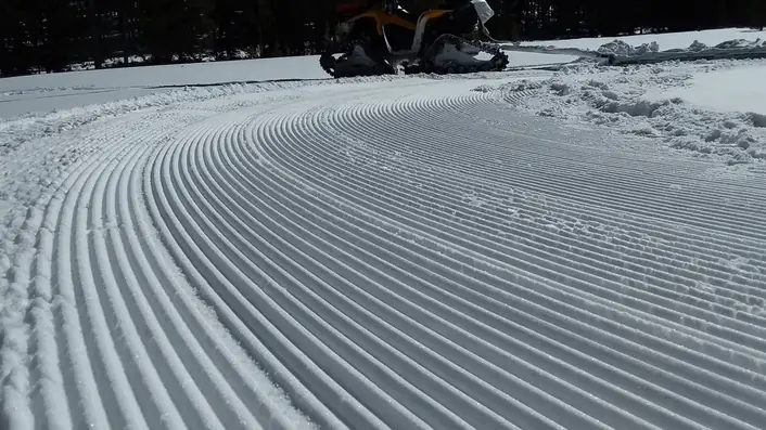 雪原のスキー