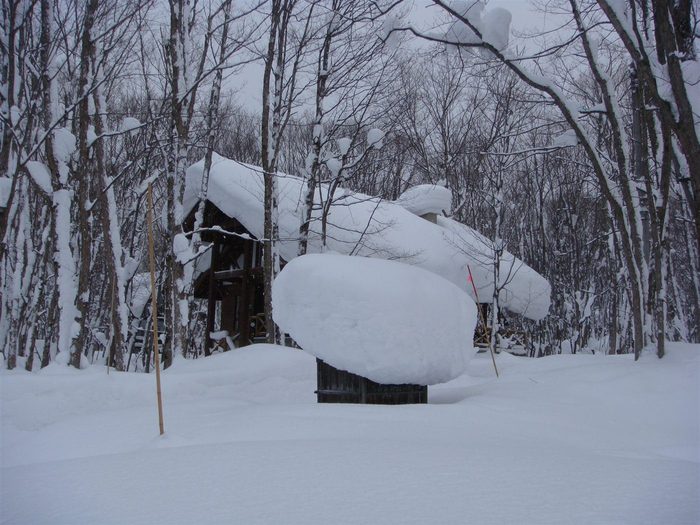 雪の夜、あたたかな家の灯り