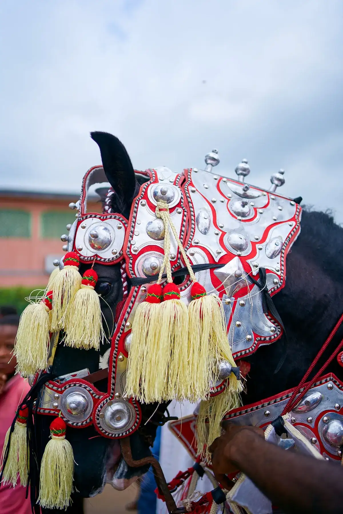 祭りの飾りをまとった馬