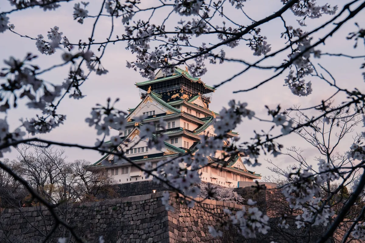 青空の下の城と桜