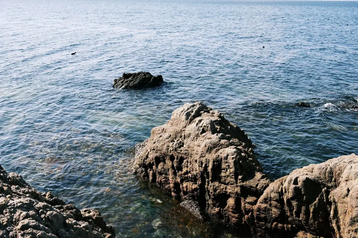 白い岩礁と青い海の岩礁海岸