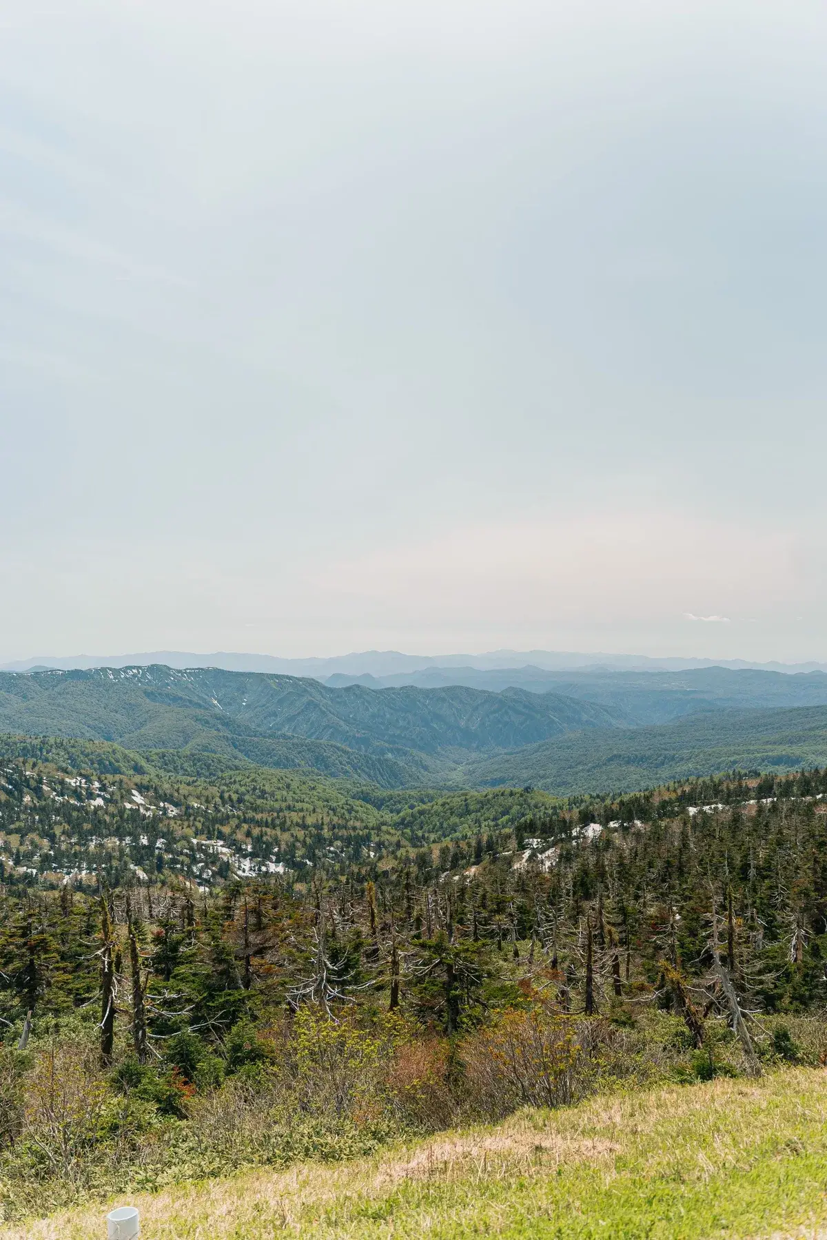 八幡平の森と山並みの絶景
