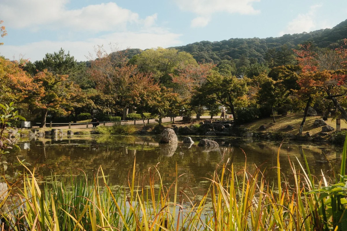 秋の京都庭園と紅葉