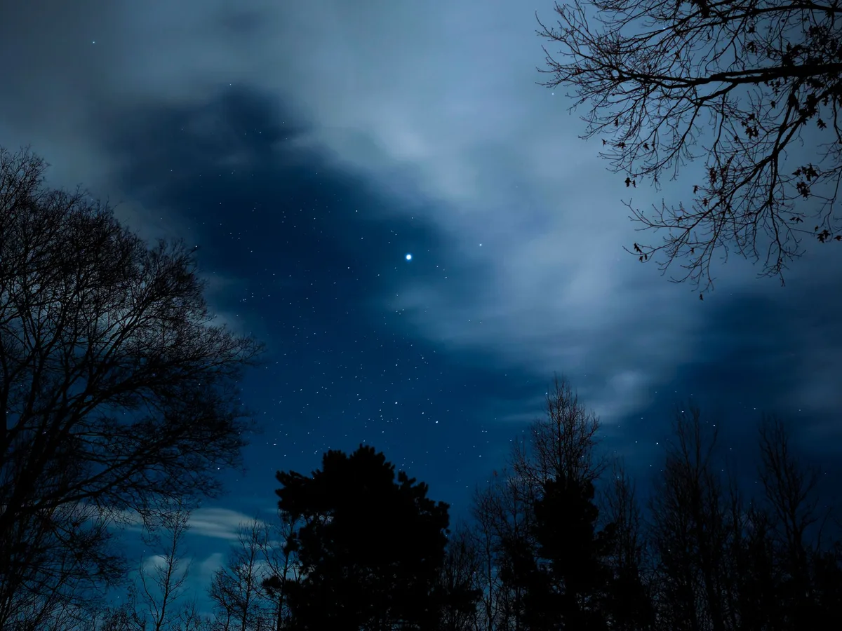 北の森の上に広がる星空