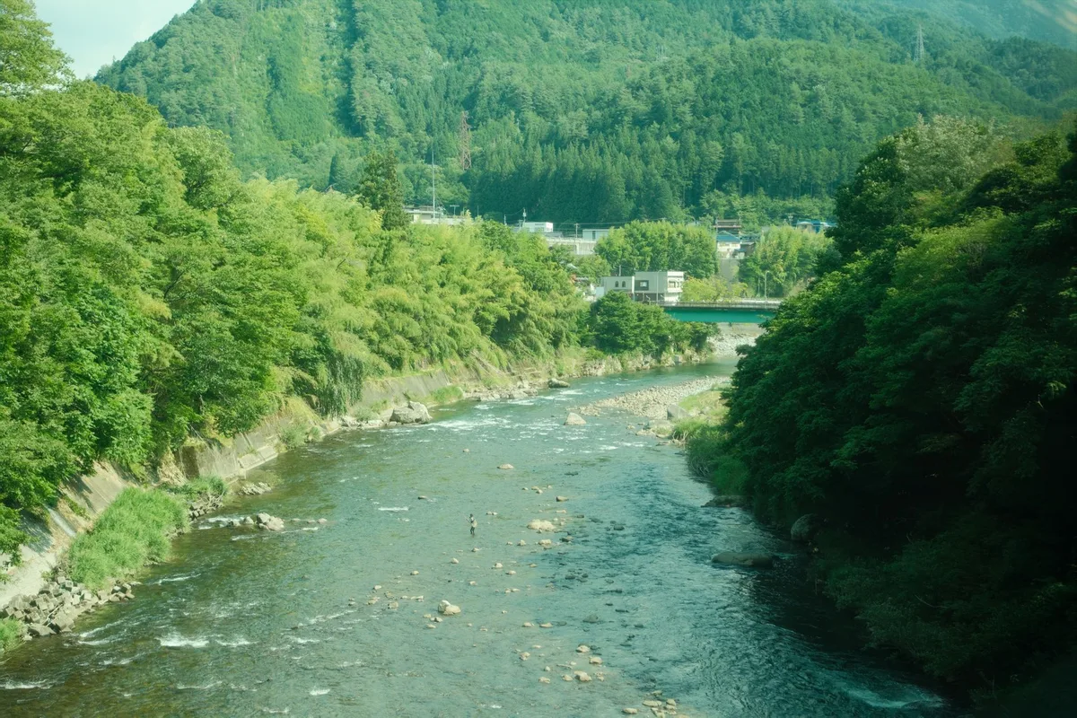 深い緑の森を縫って流れる日本の川