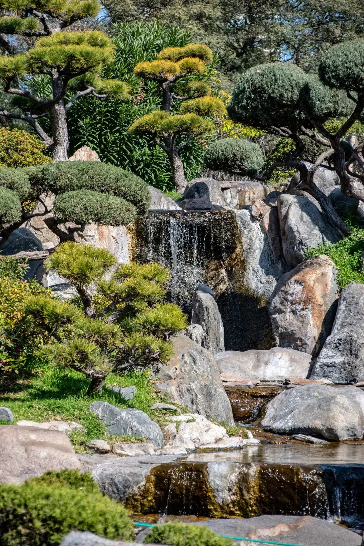 滝と刈り込まれた木々のある日本庭園