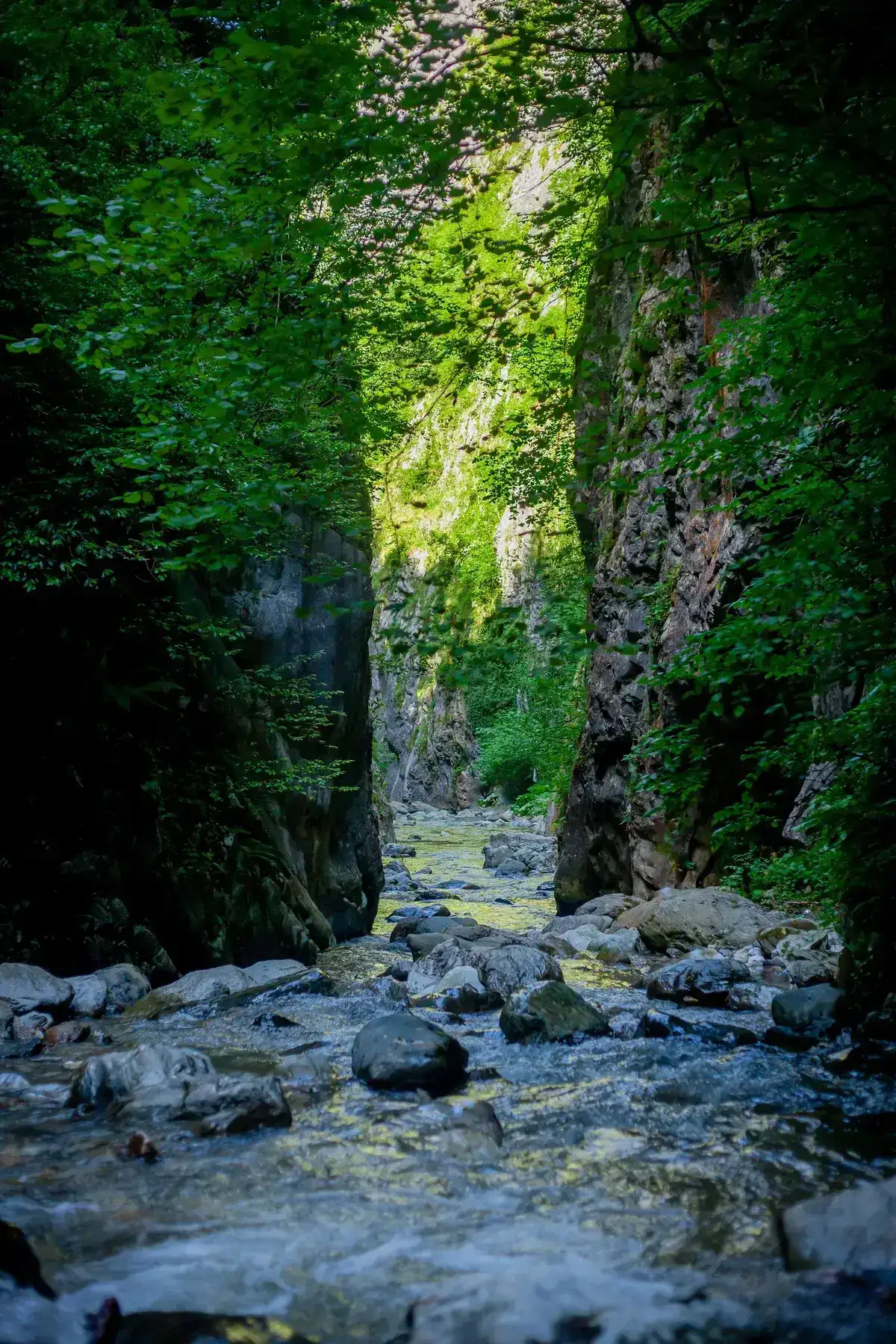 岩と豊かな緑の間を流れる渓流