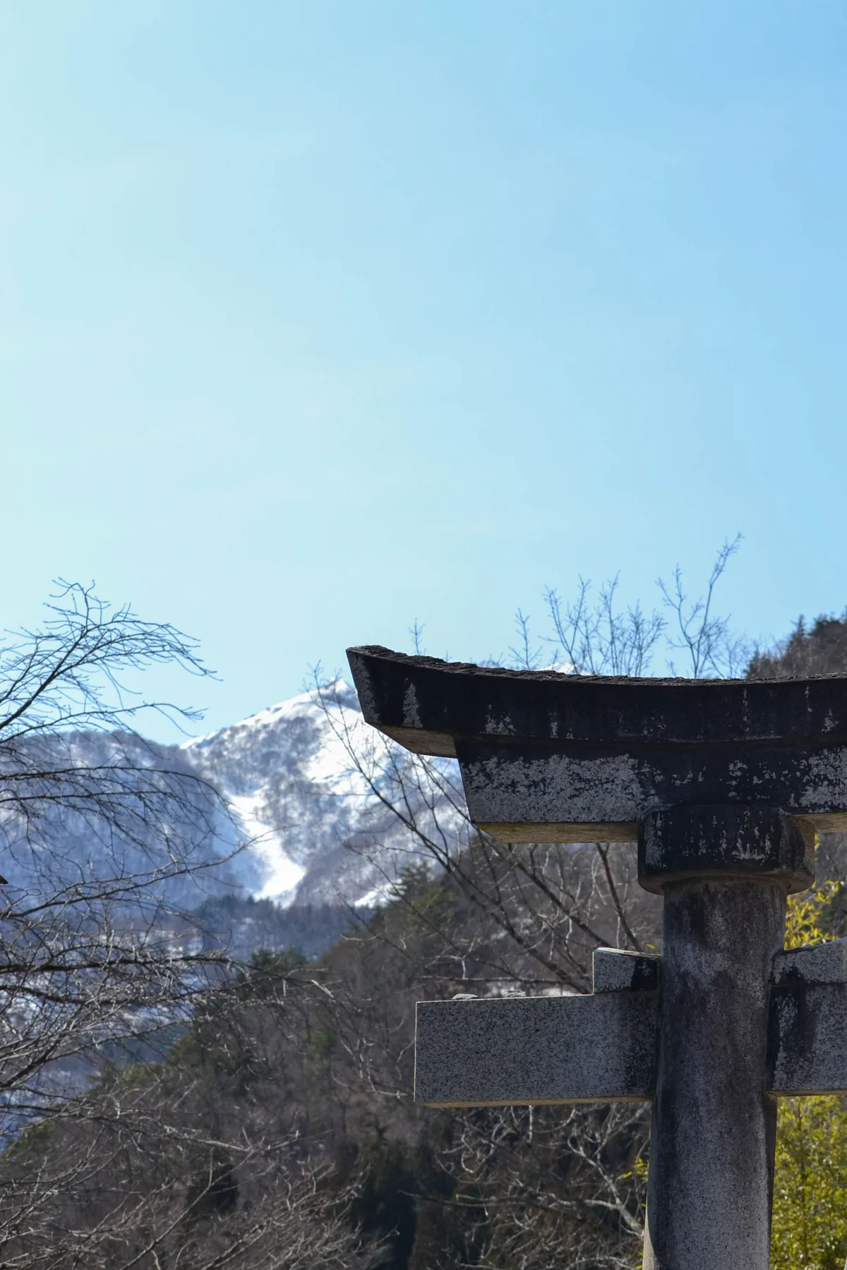 雪山を背景に立つ伝統的な鳥居