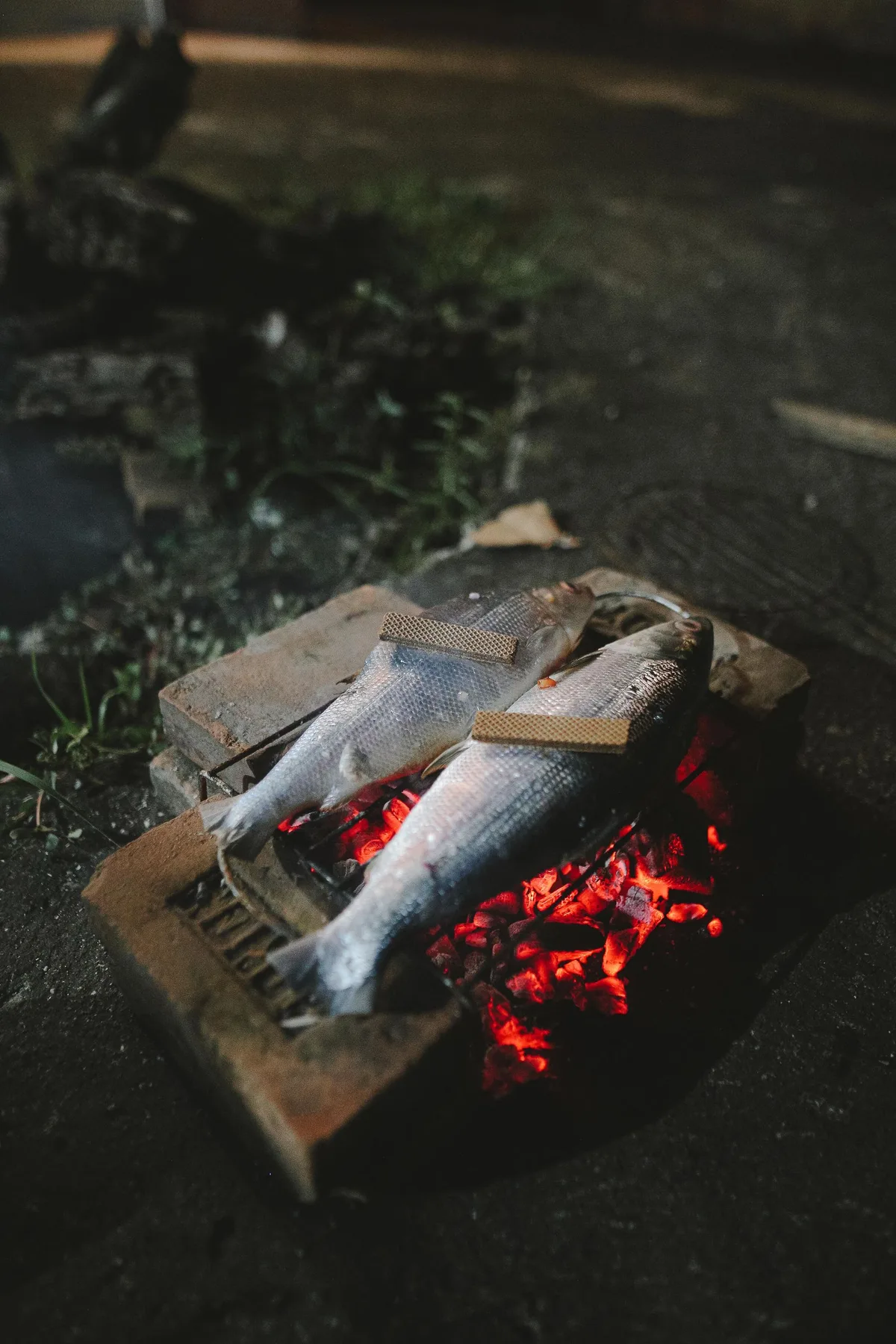 レンガの上で炭火にかけられた魚の丸焼き