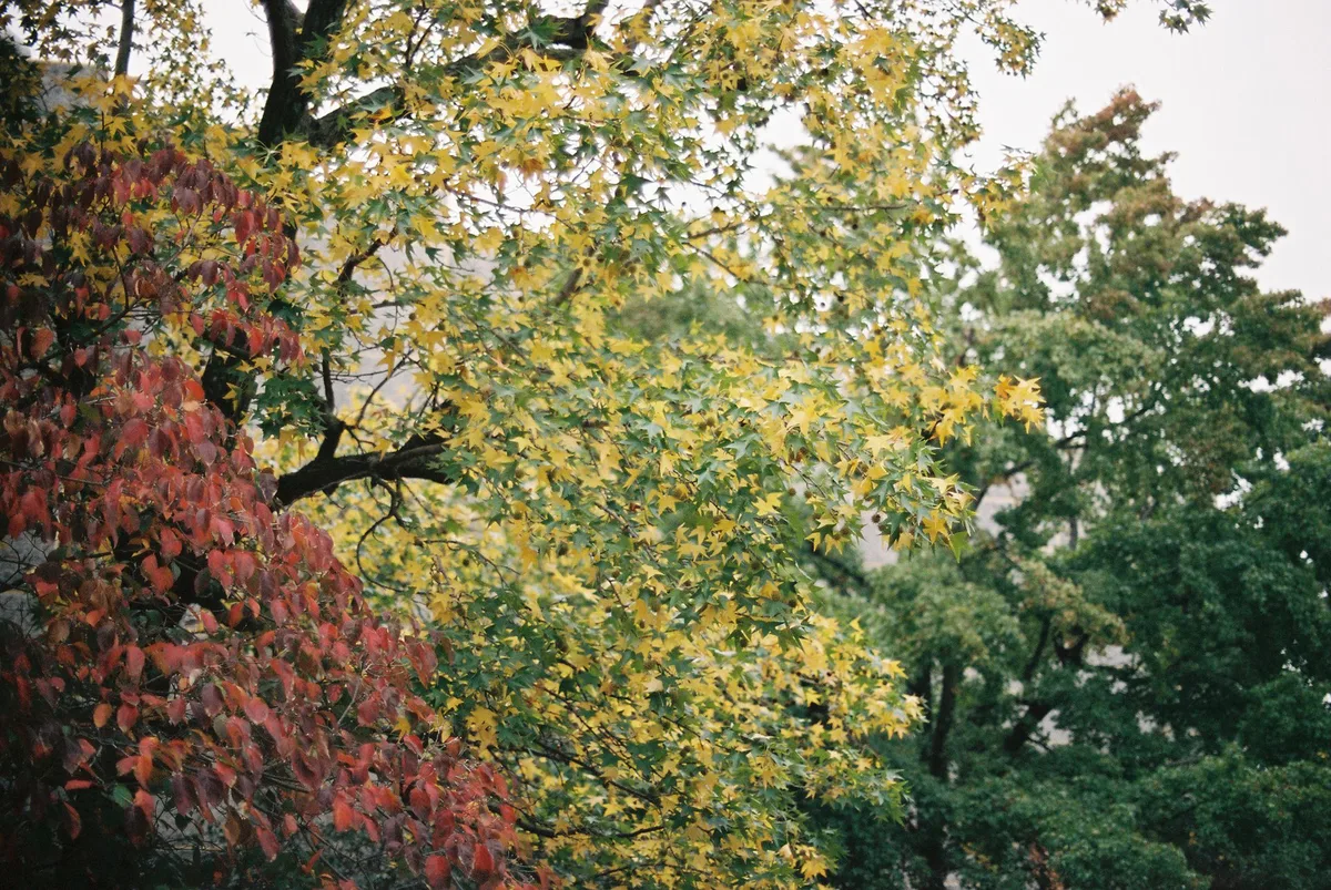 四季それぞれの風景
