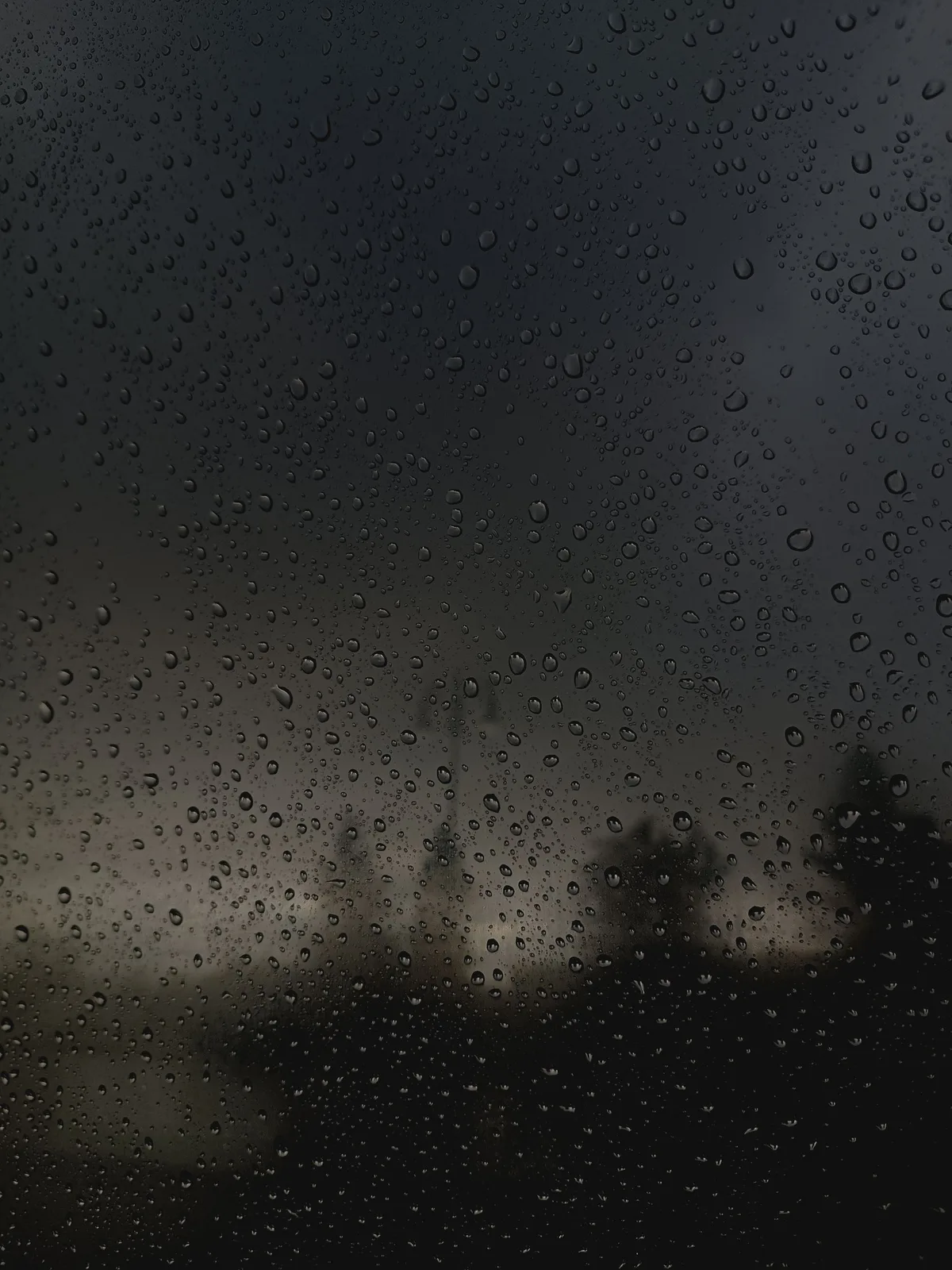 窓に滴る雨粒