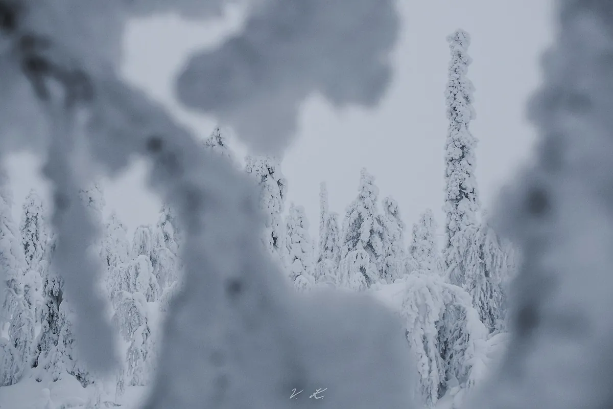 雪のフィンランドの町