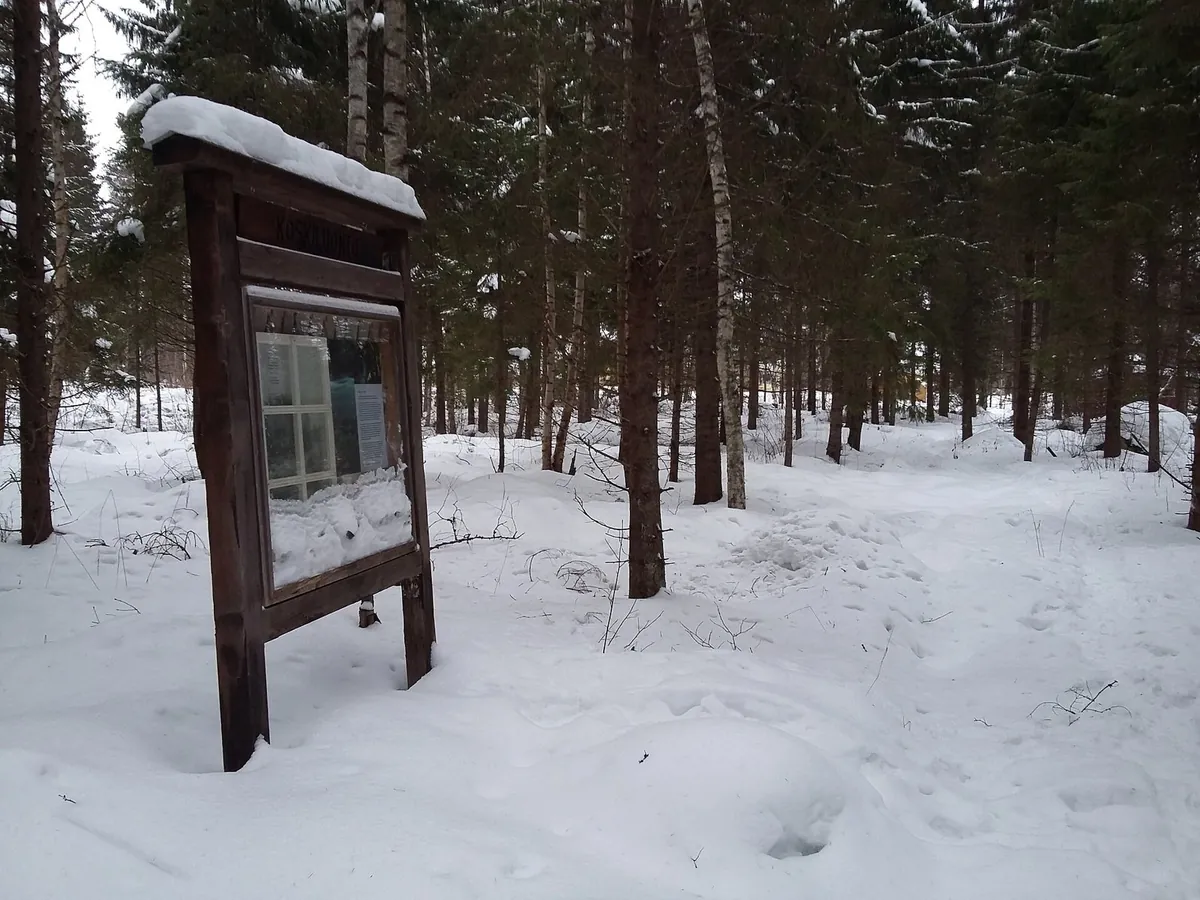 雪のフィンランドの町