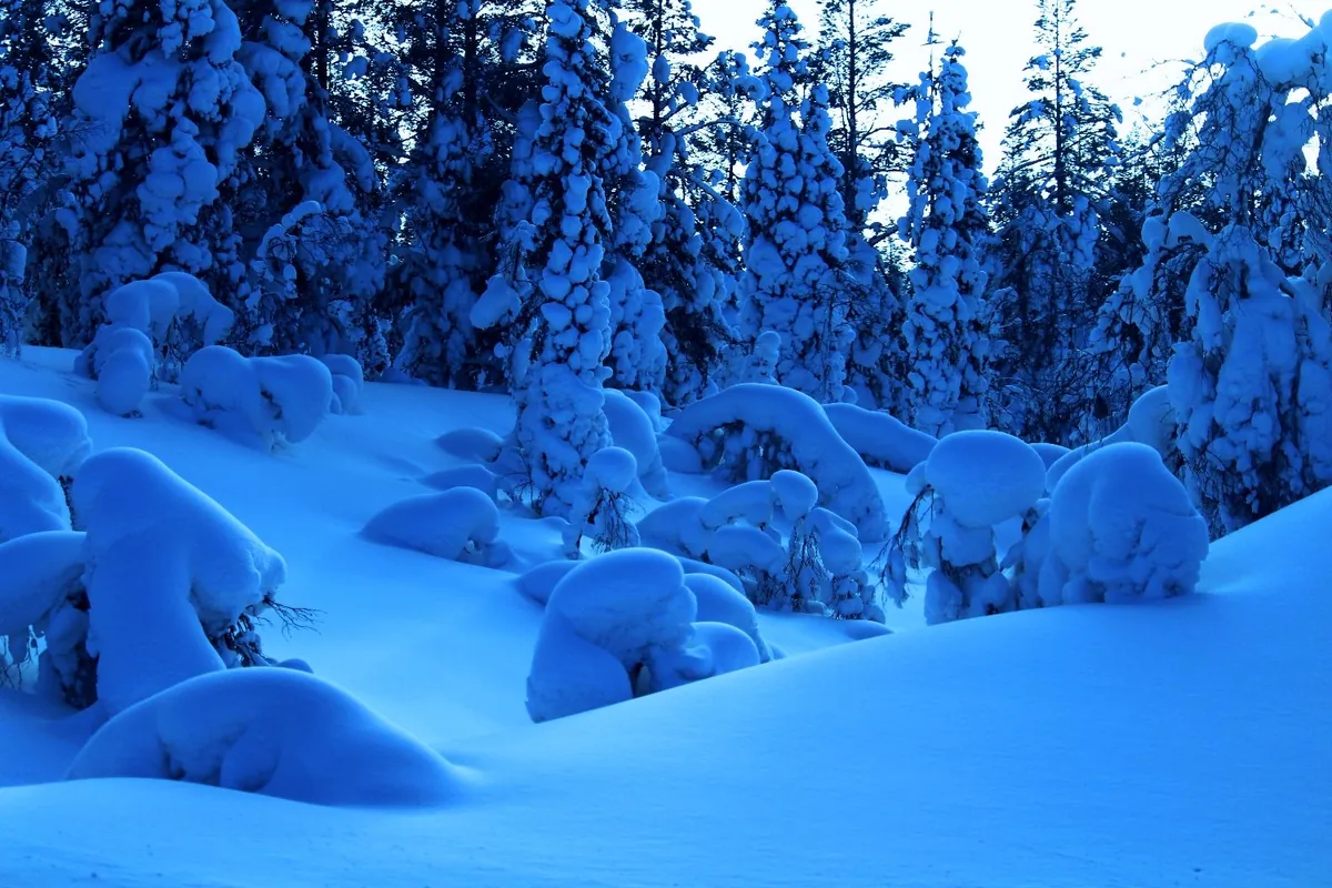 雪のフィンランドの町