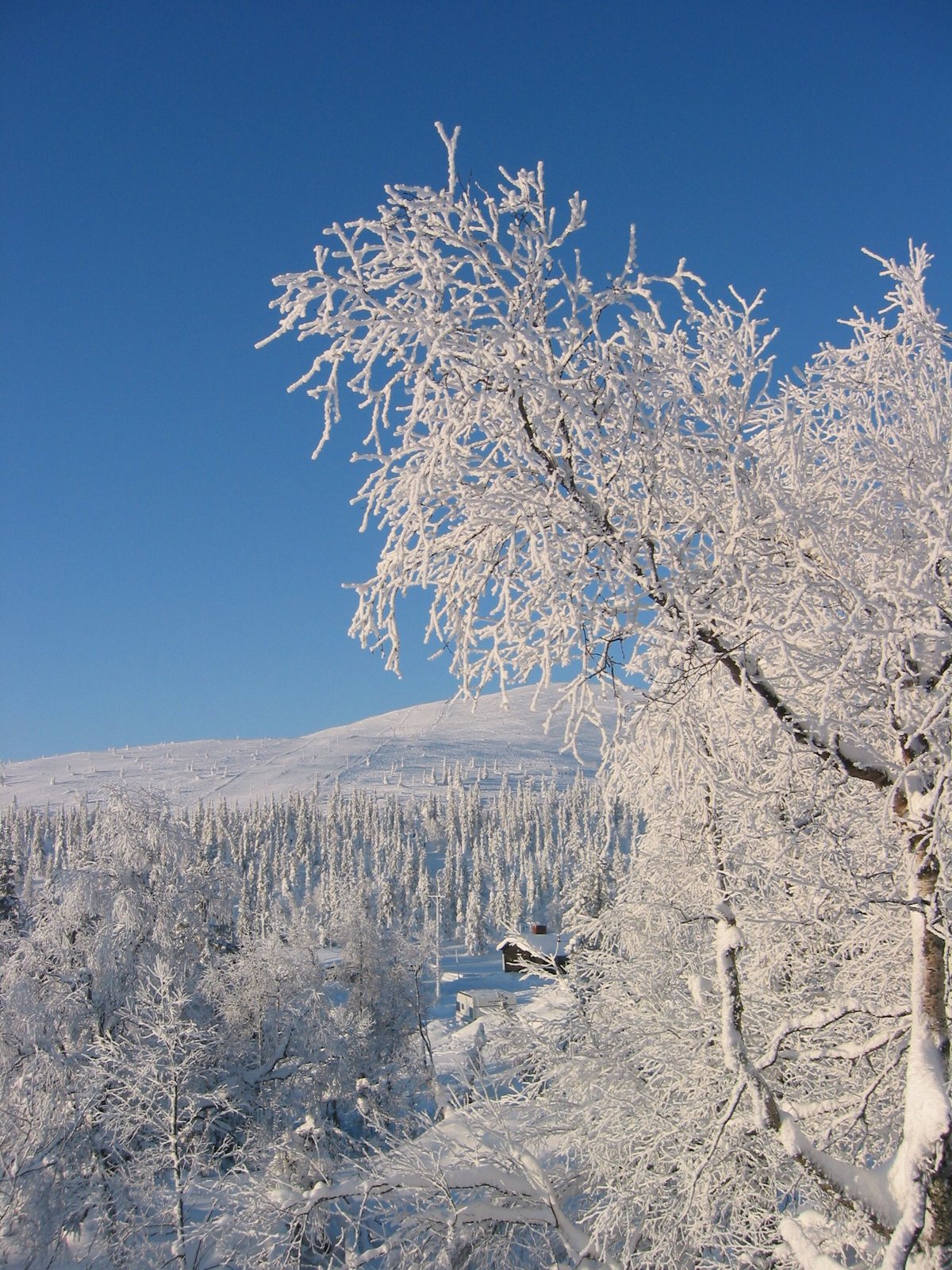 雪のフィンランドの町