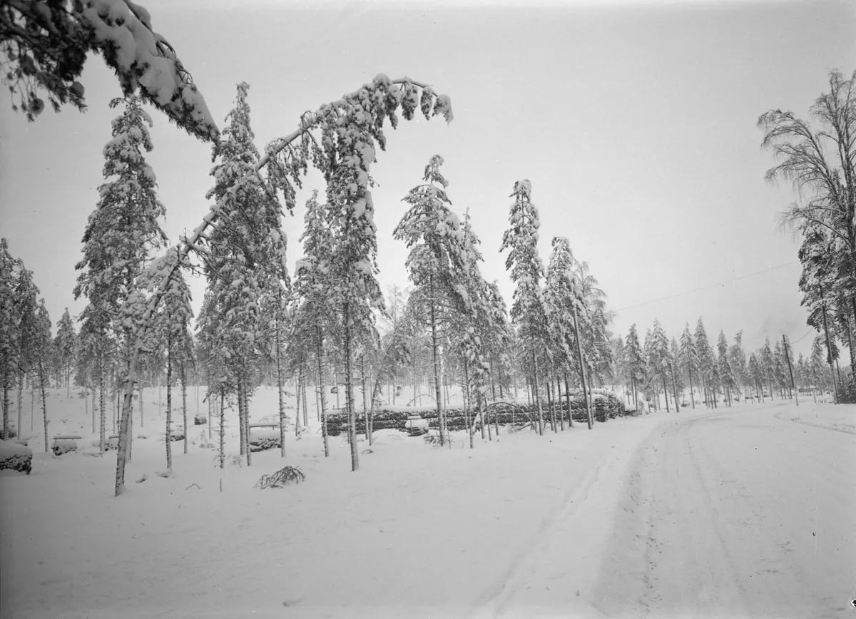 雪のフィンランドの町