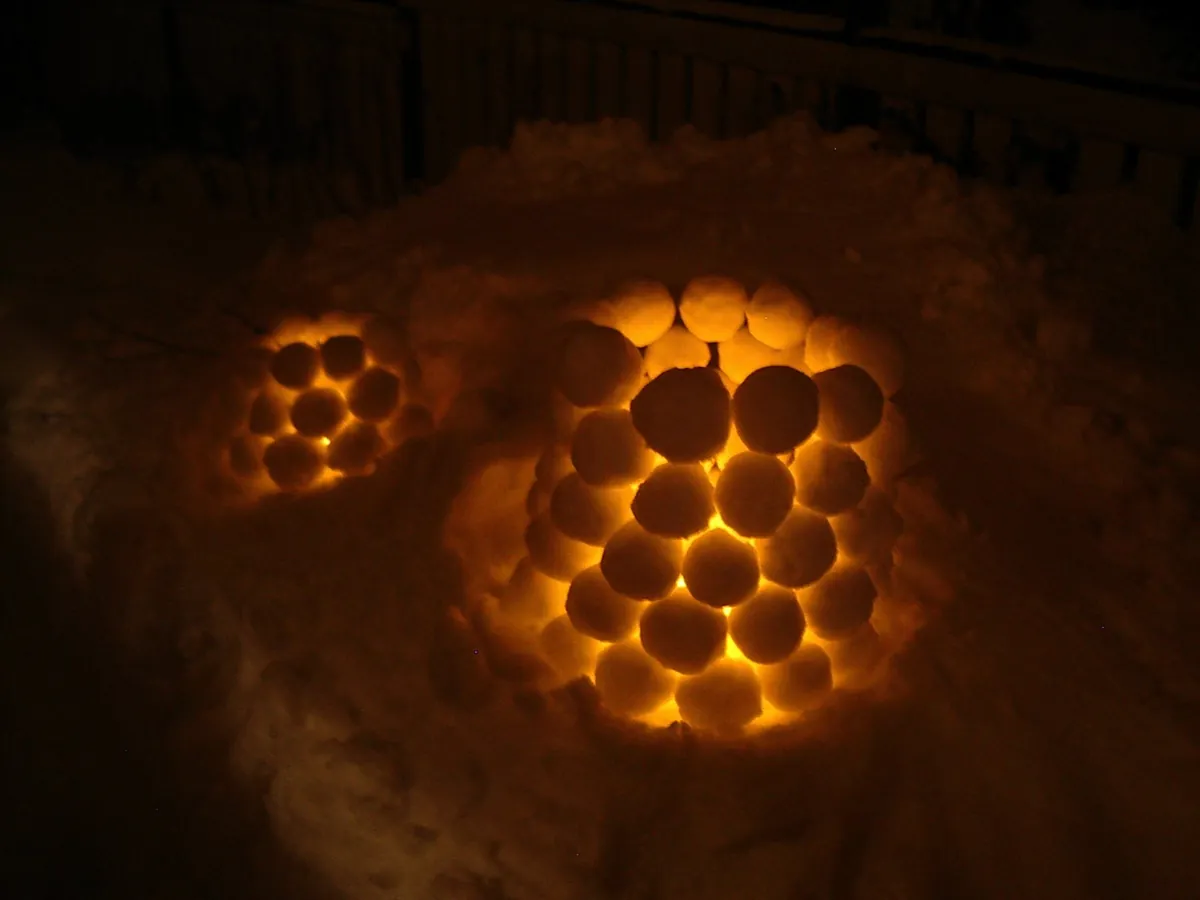 雪の積もった森