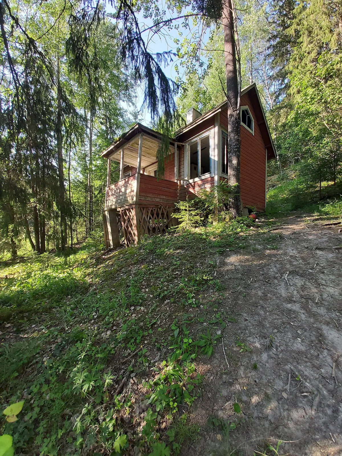 ヌークシオの森の道