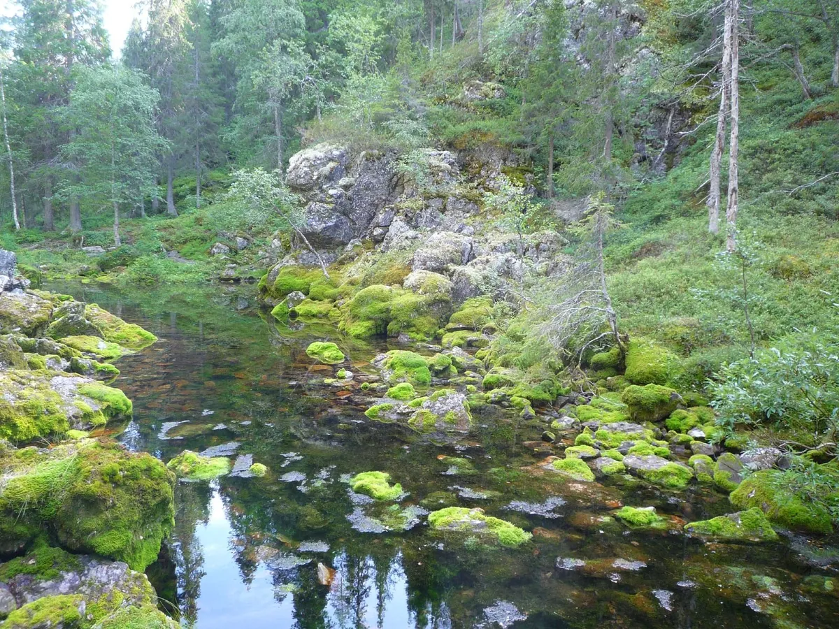 フィンランドの情景