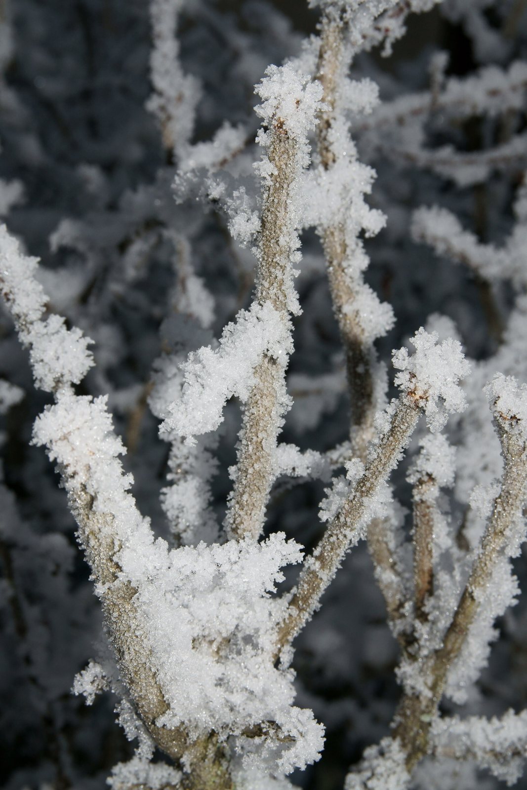 雪のフィンランドの町