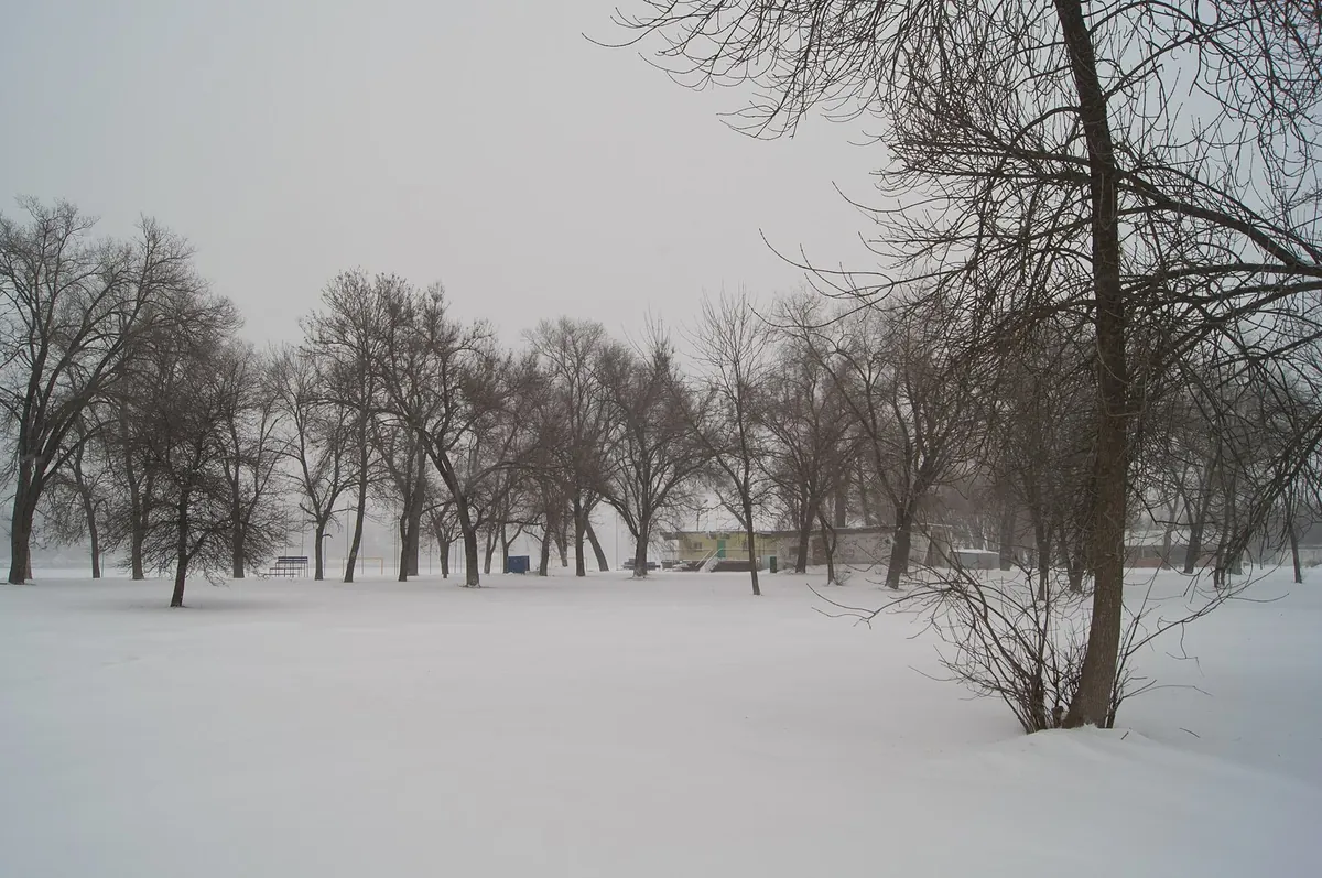 雪のフィンランドの町