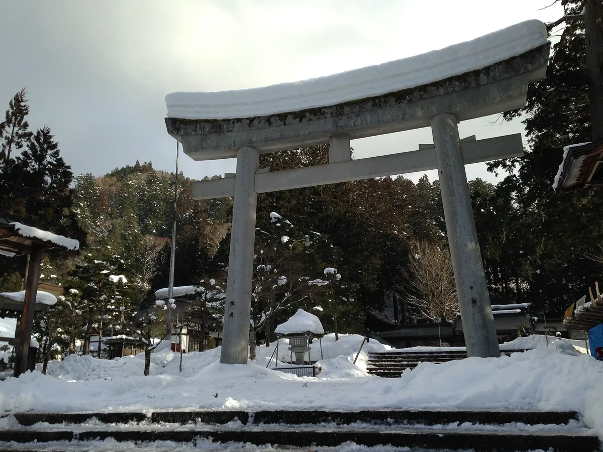 雪の積もった森