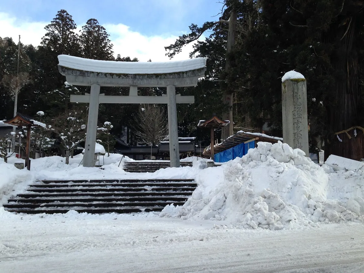 雪の積もった森